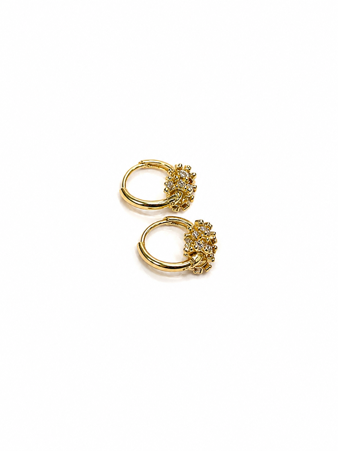 Crystal Charm Earrings