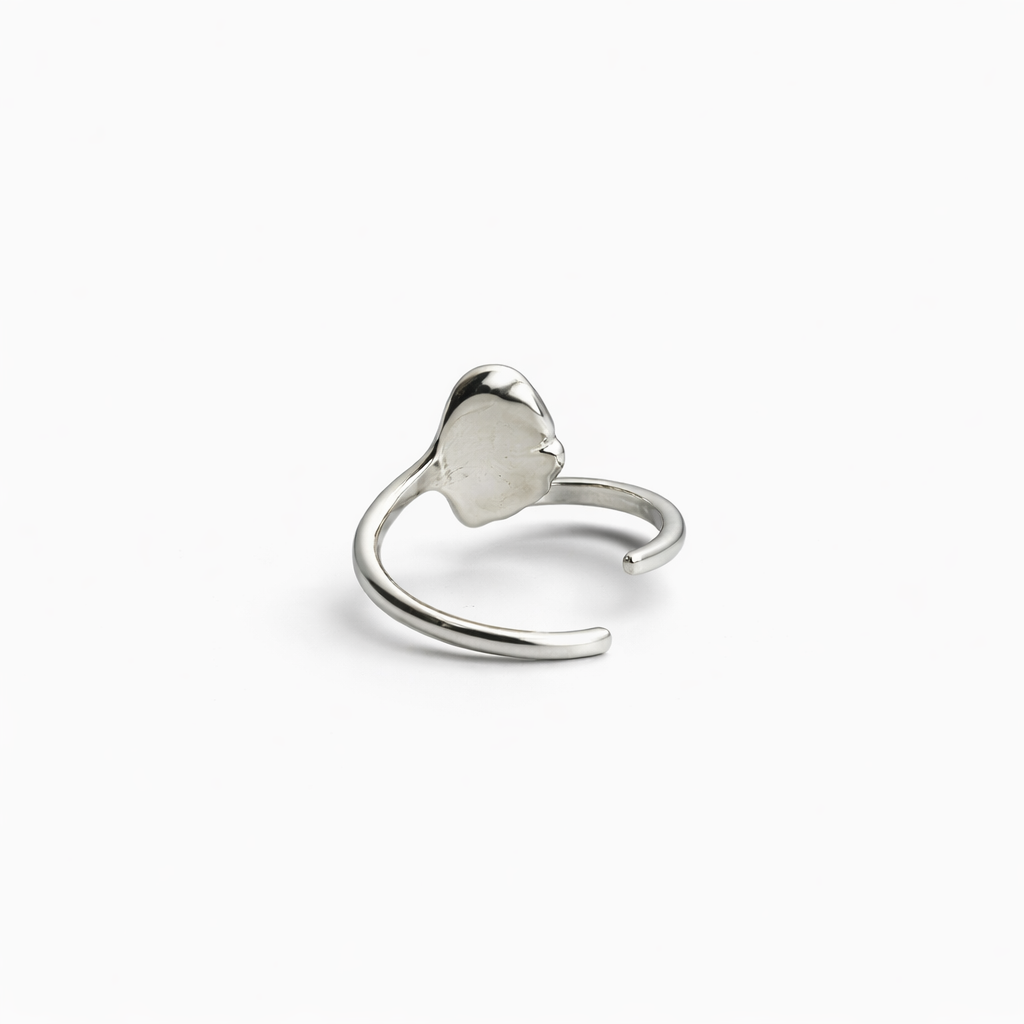Costa Ring