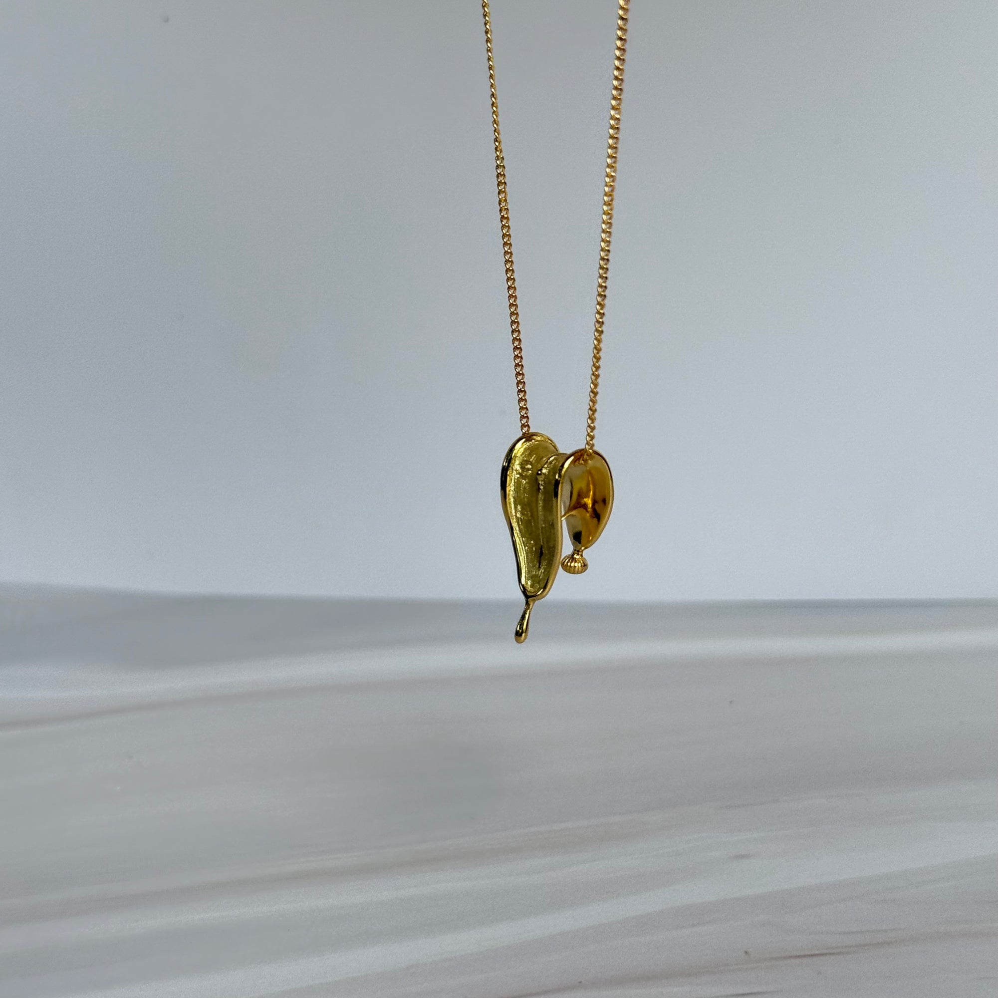 Tempo Locket Necklace