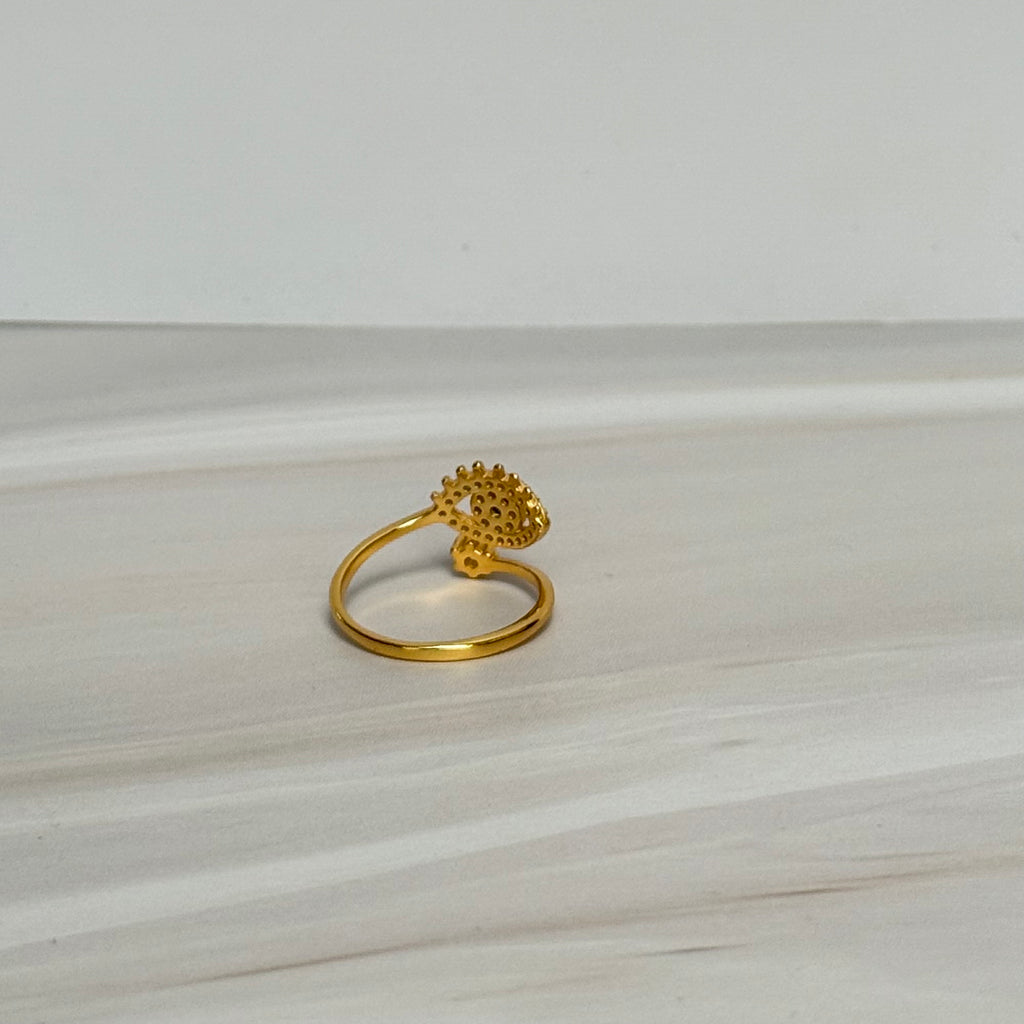 Brillo Ring