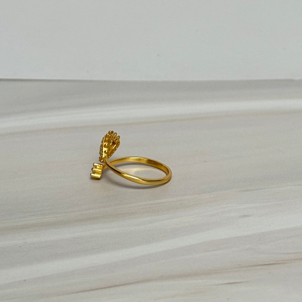 Brillo Ring