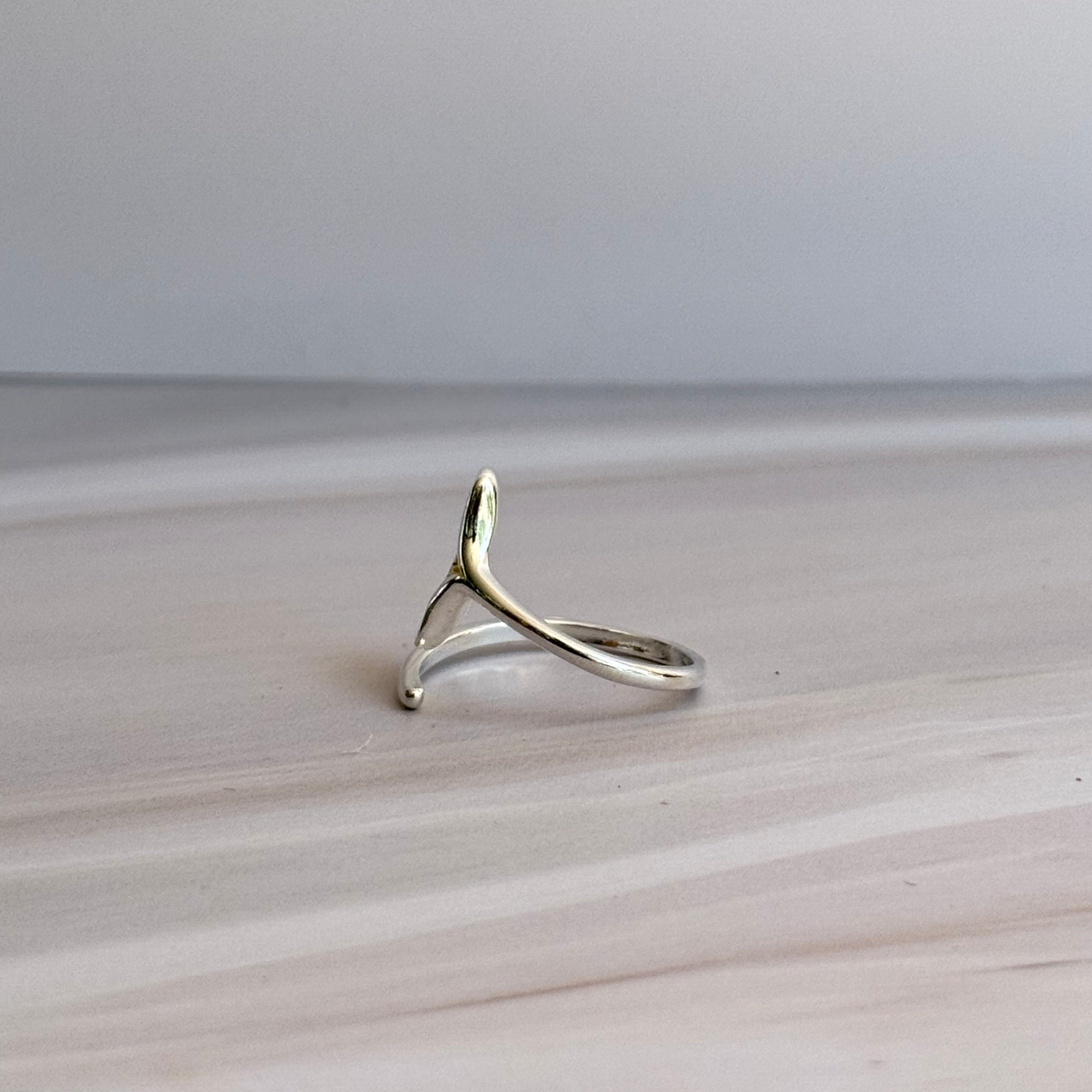Costa Ring