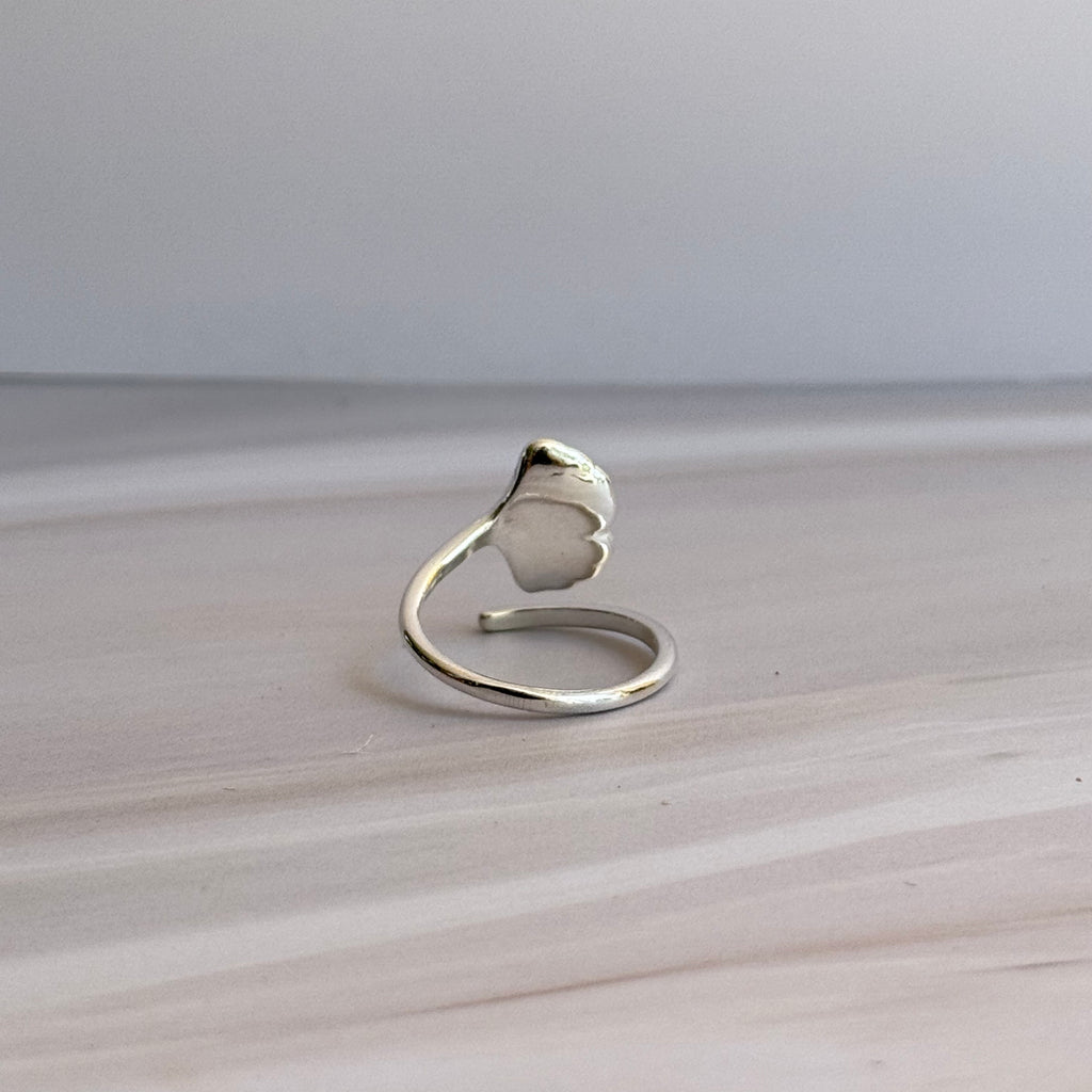 Costa Ring