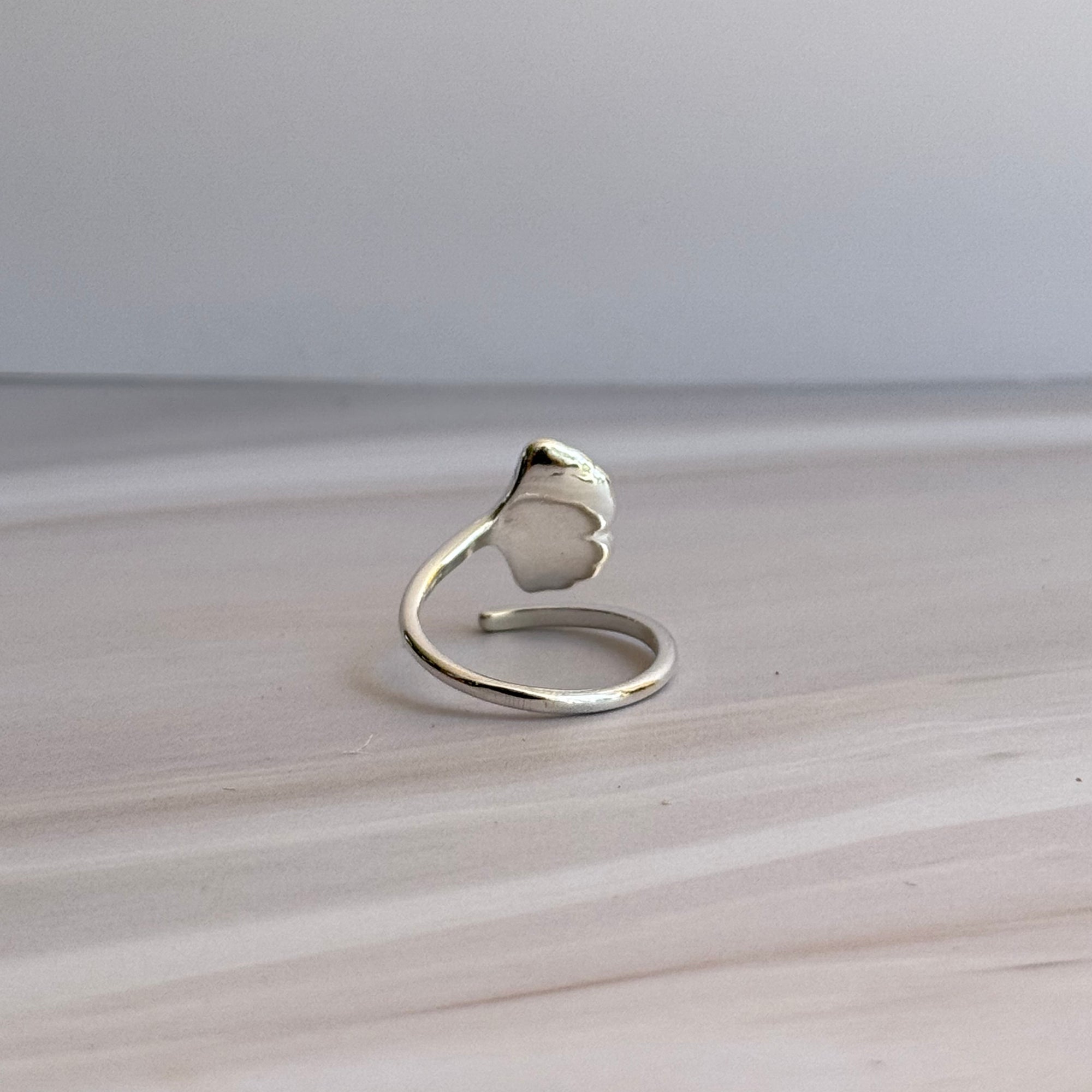 Costa Ring