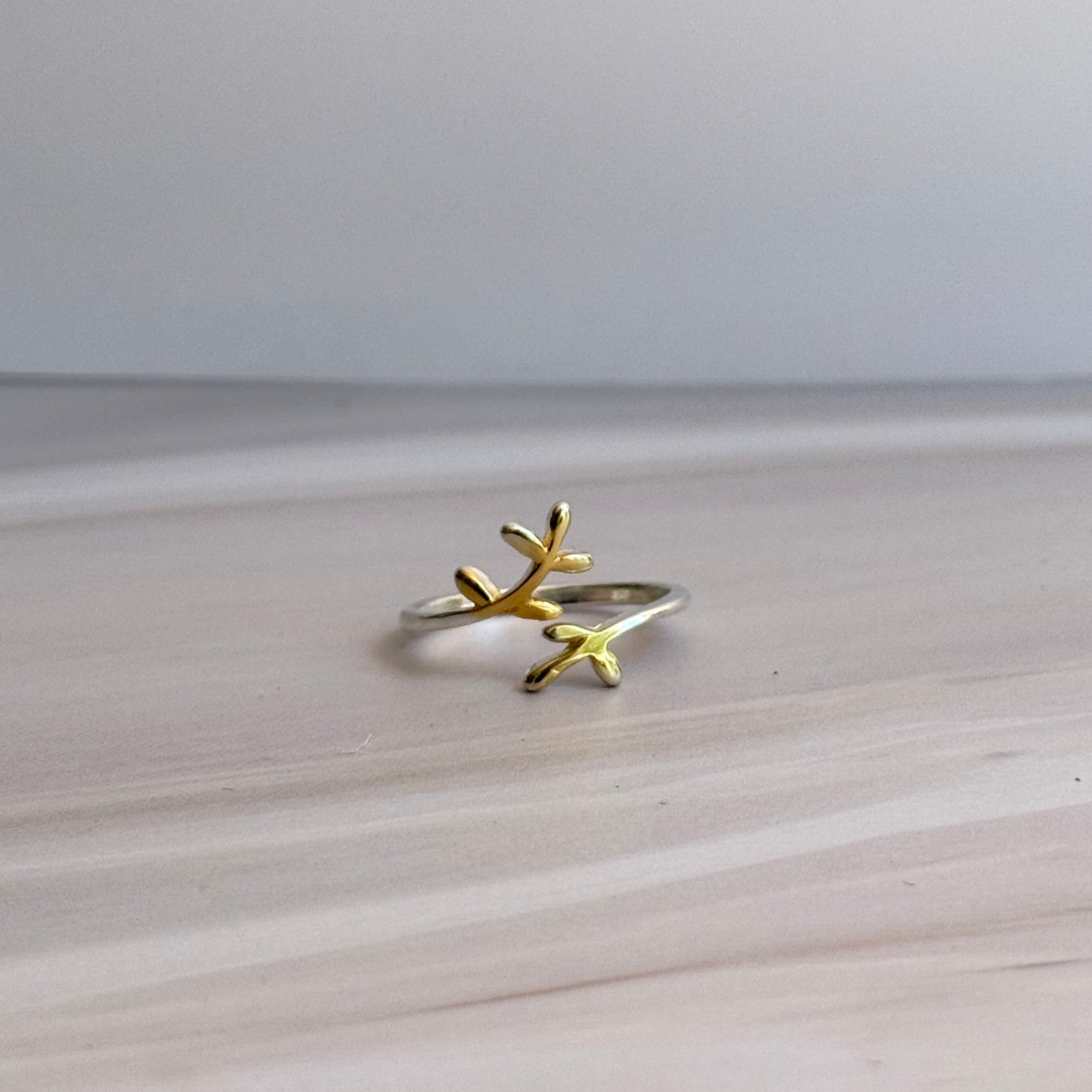 Fin Ring