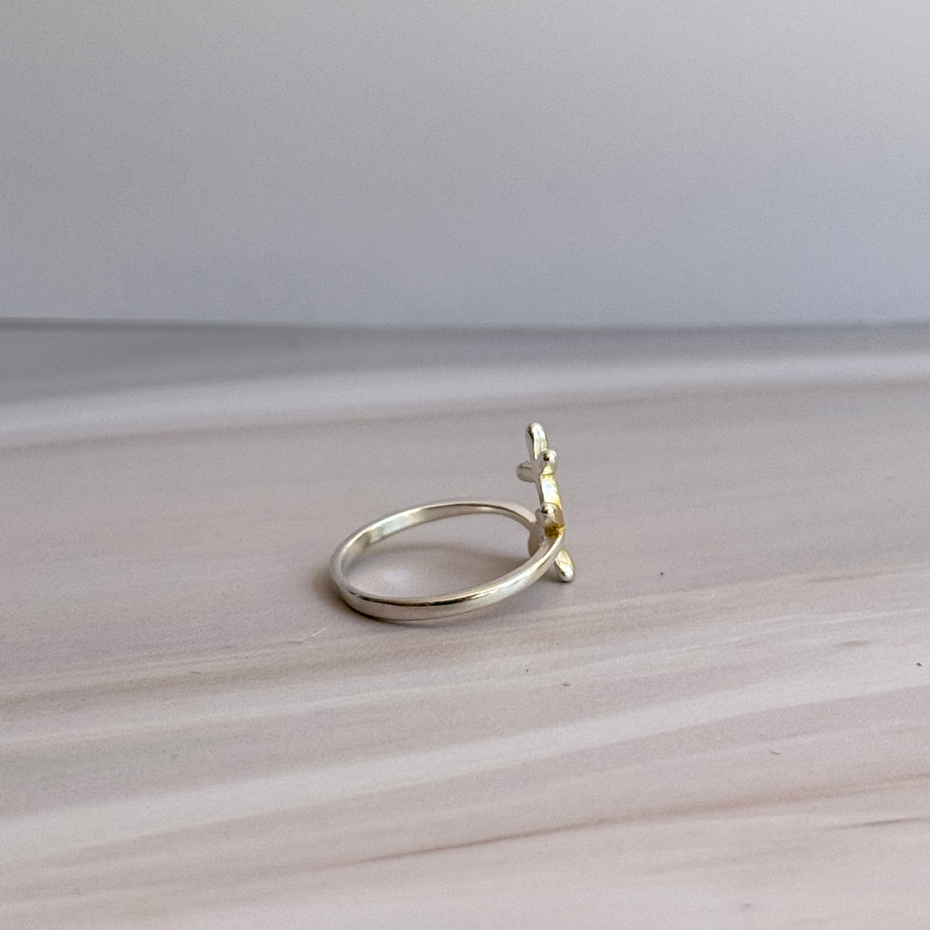 Fin Ring