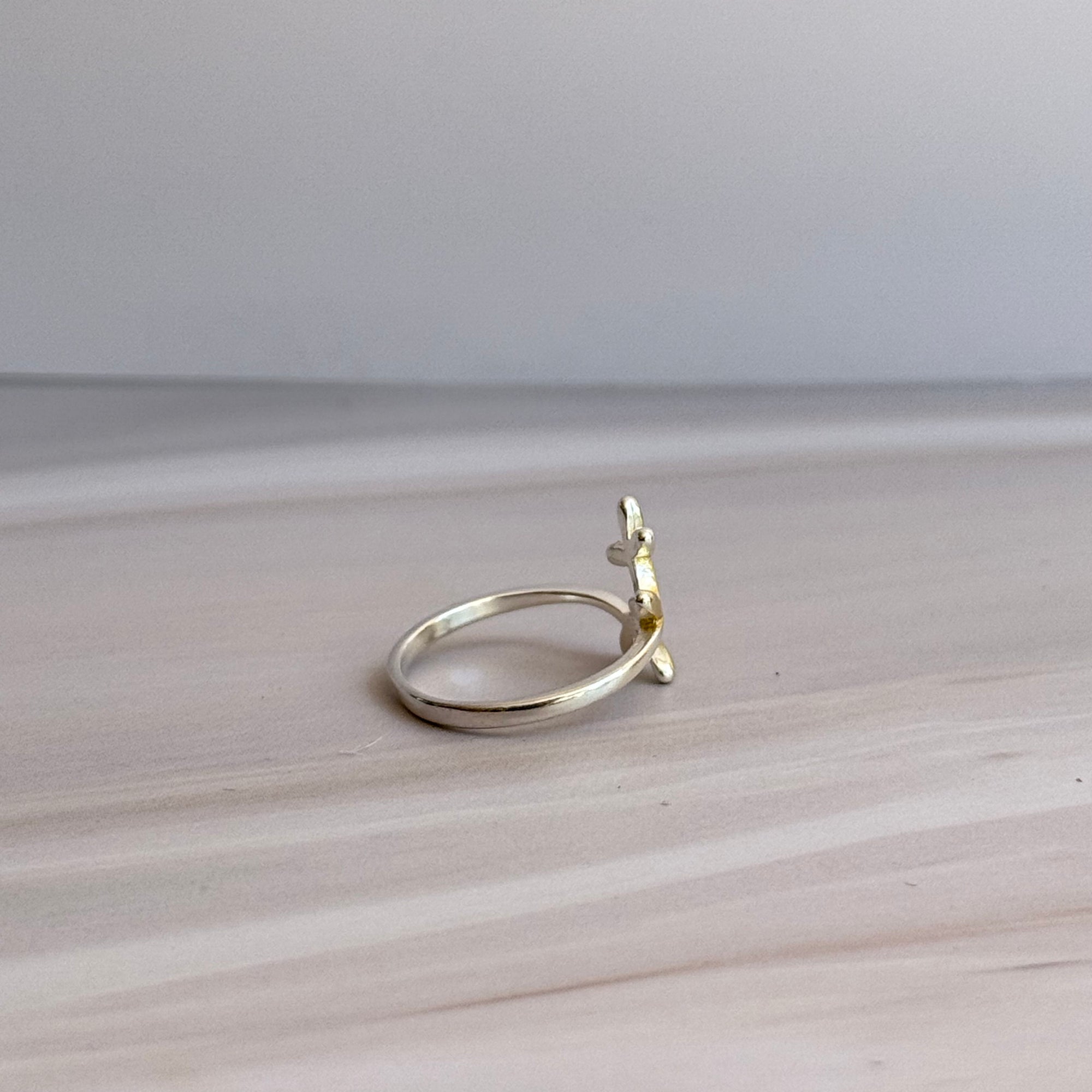 Fin Ring