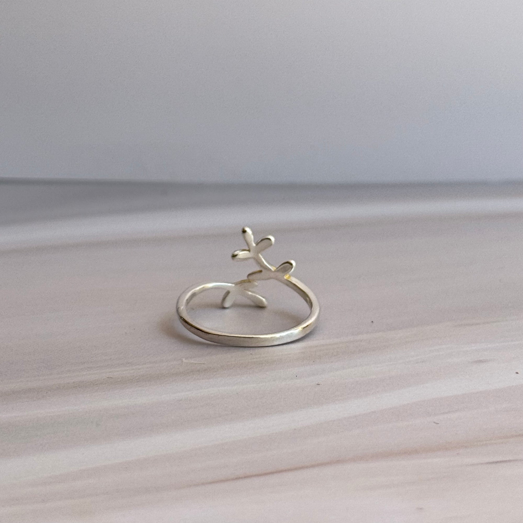 Fin Ring