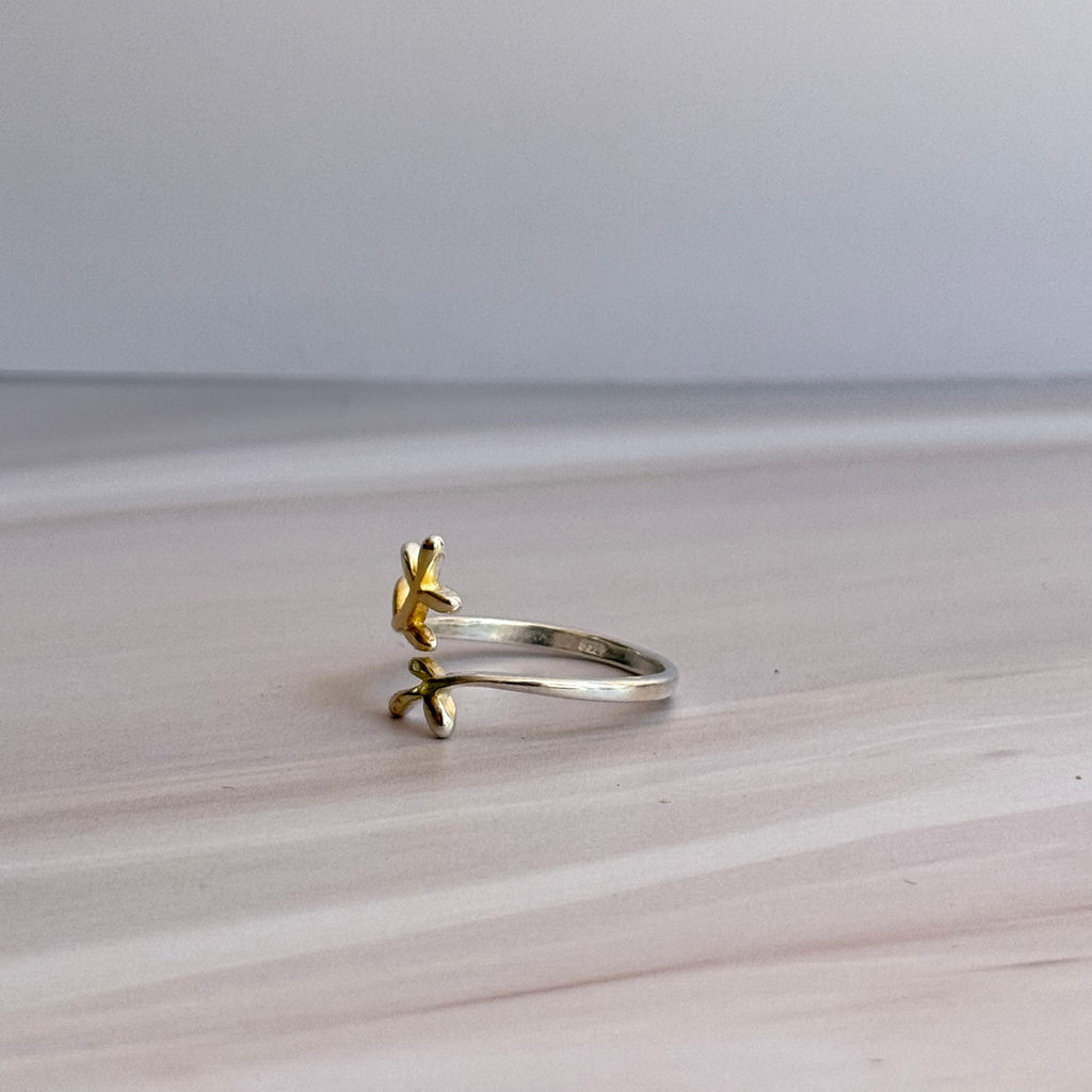 Fin Ring