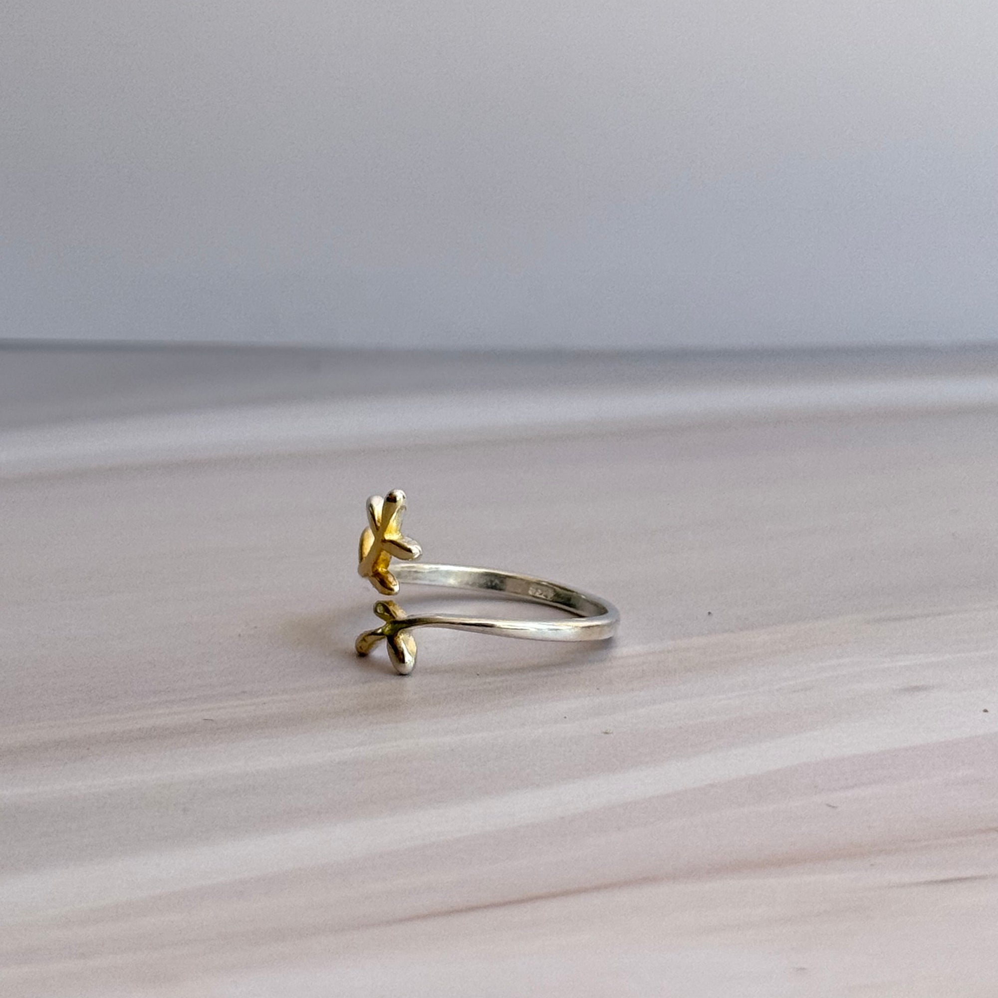Fin Ring