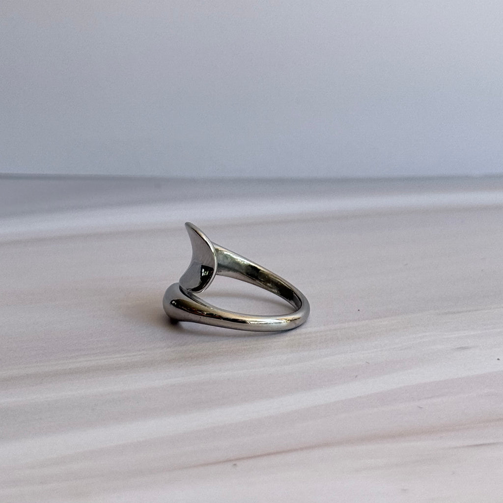 Silver Twist Ring