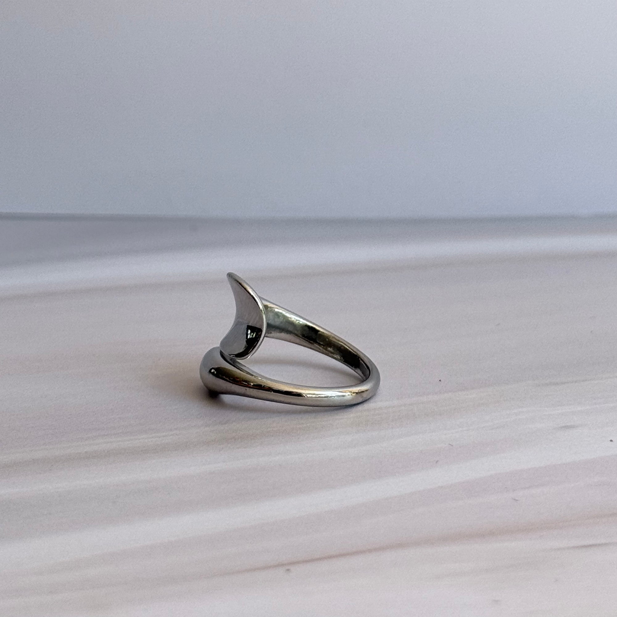 Silver Twist Ring
