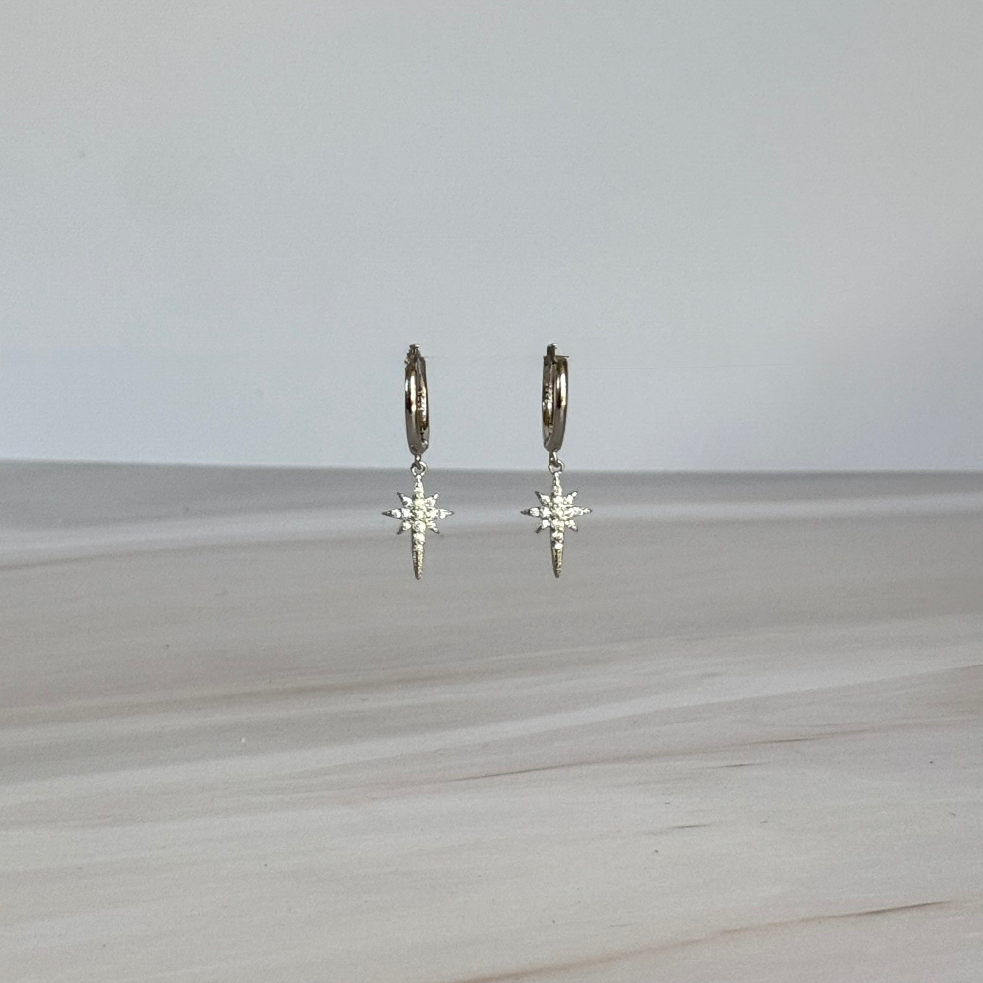 Twin Earrings