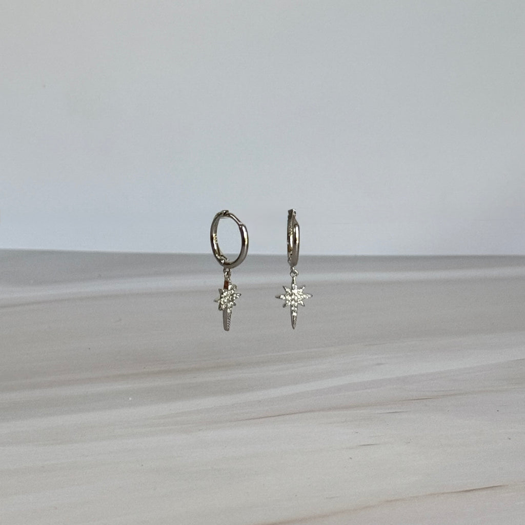 Twin Earrings