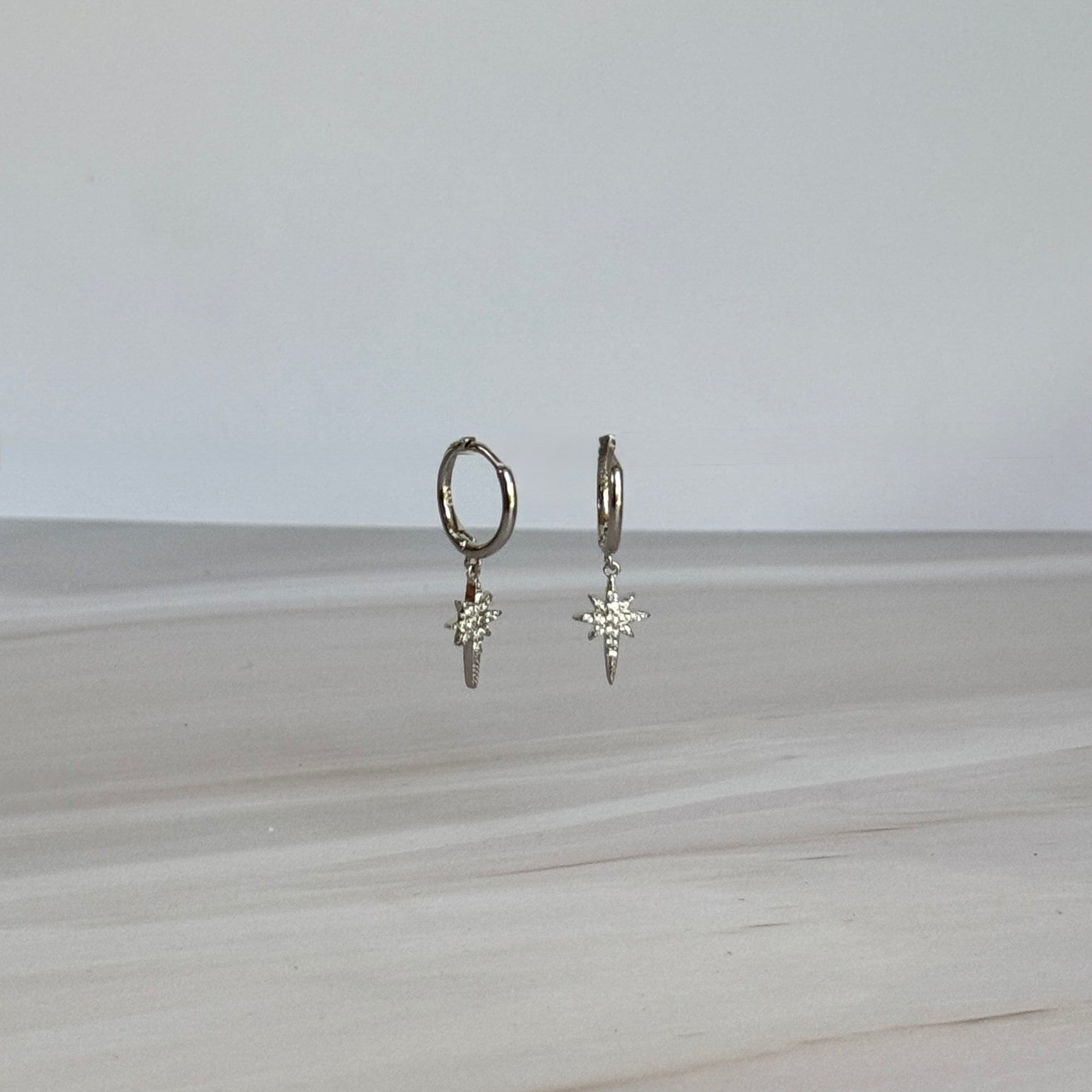 Twin Earrings